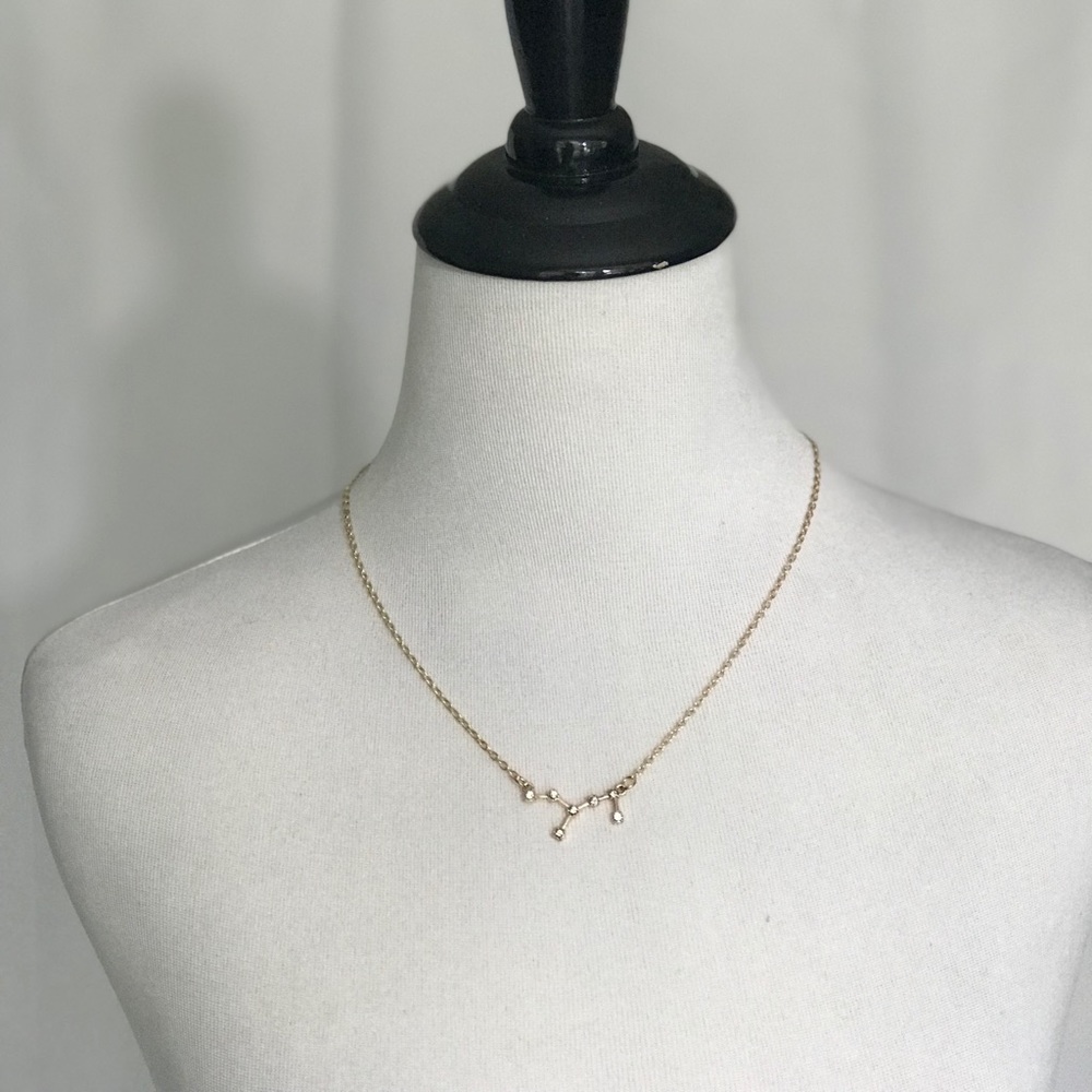 Aquarius Zodiac Necklace NWT!!